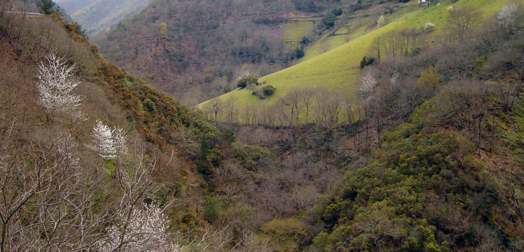 Foto de Taramundi (Asturias), España