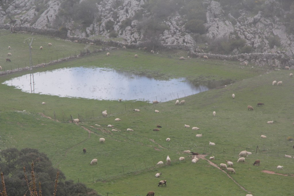 Foto de Villaluenga del Rosario (Cádiz), España