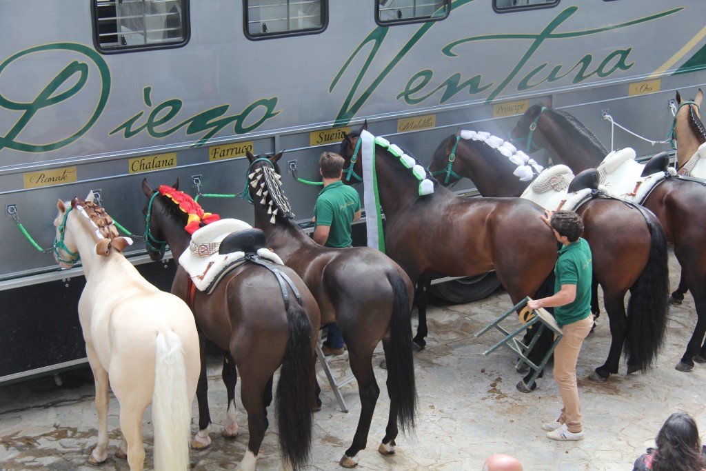 Foto de Villaluenga del Rosario (Cádiz), España
