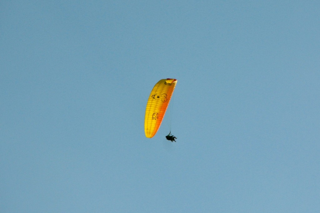 Foto: Volando - La Orotava (Santa Cruz de Tenerife), España
