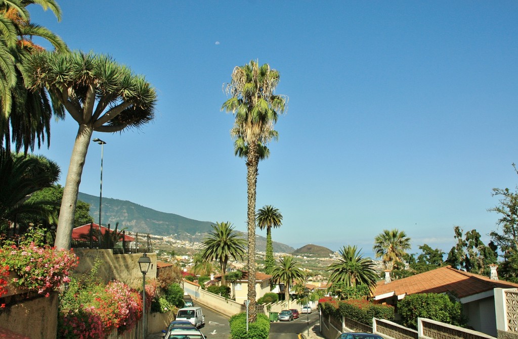 Foto: Jardines del Marquesado - La Orotava (Santa Cruz de Tenerife), España