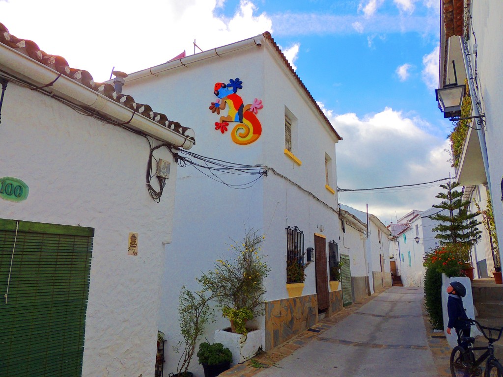 Foto: Calle Alta - Gaucín (Málaga), España