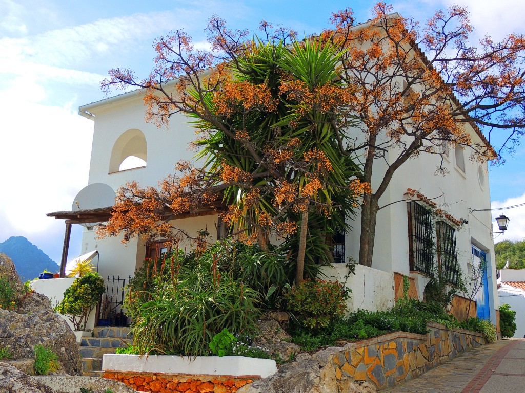 Foto: Vivienda Calle Las Parras - Gaucín (Málaga), España