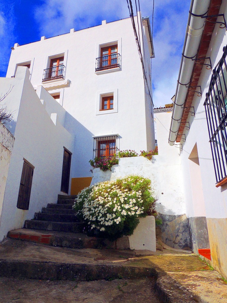 Foto de Gaucín (Málaga), España
