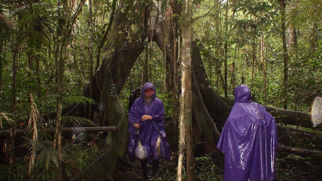 Foto: caminata en lluvia - Cuyabeno (Sucumbios), Ecuador