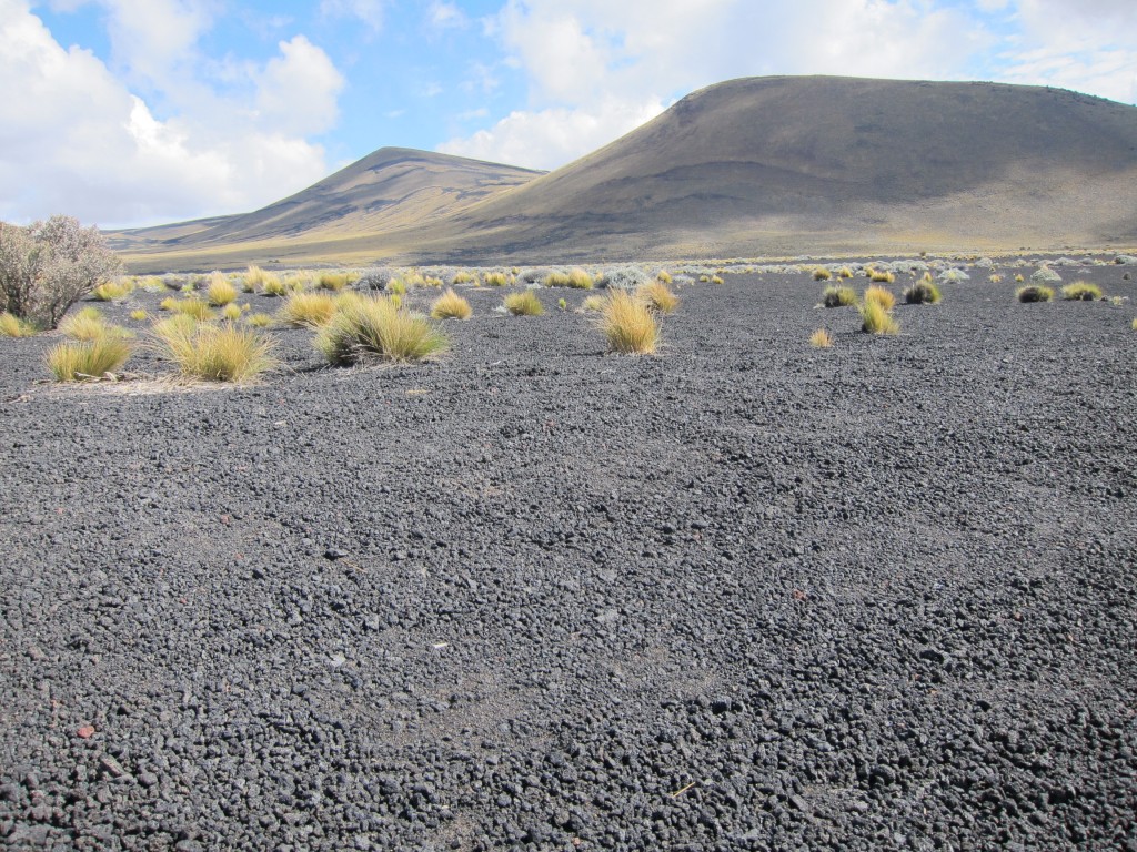 Foto: La Payunia - Malargüe (Mendoza), Argentina