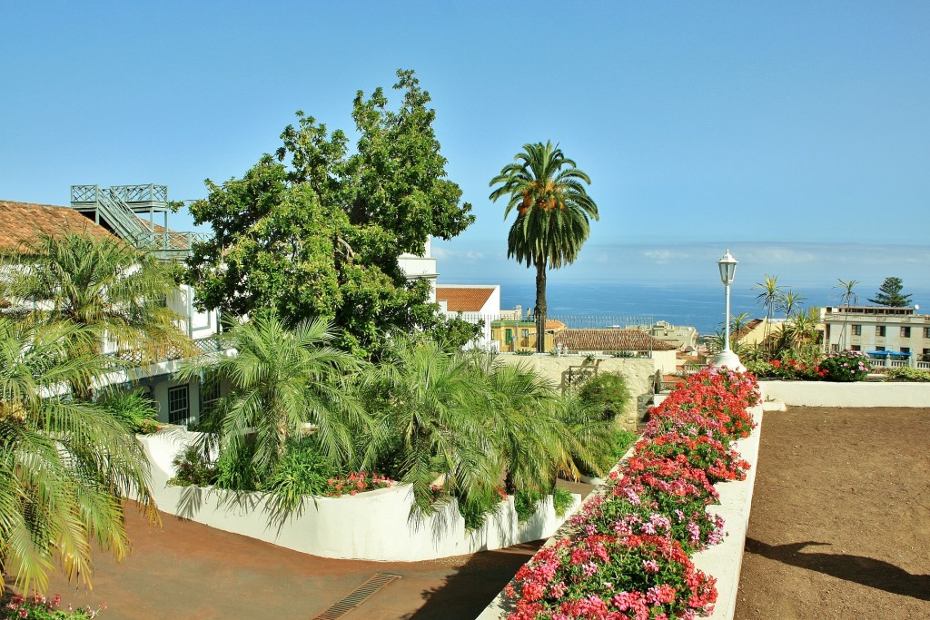 Foto: Jardines del Marquesado - La Orotava (Santa Cruz de Tenerife), España
