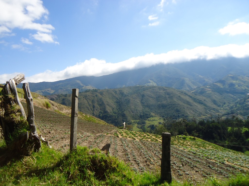 Foto: por el camino a la finca - Vereda De Chichira (Norte de Santander), Colombia