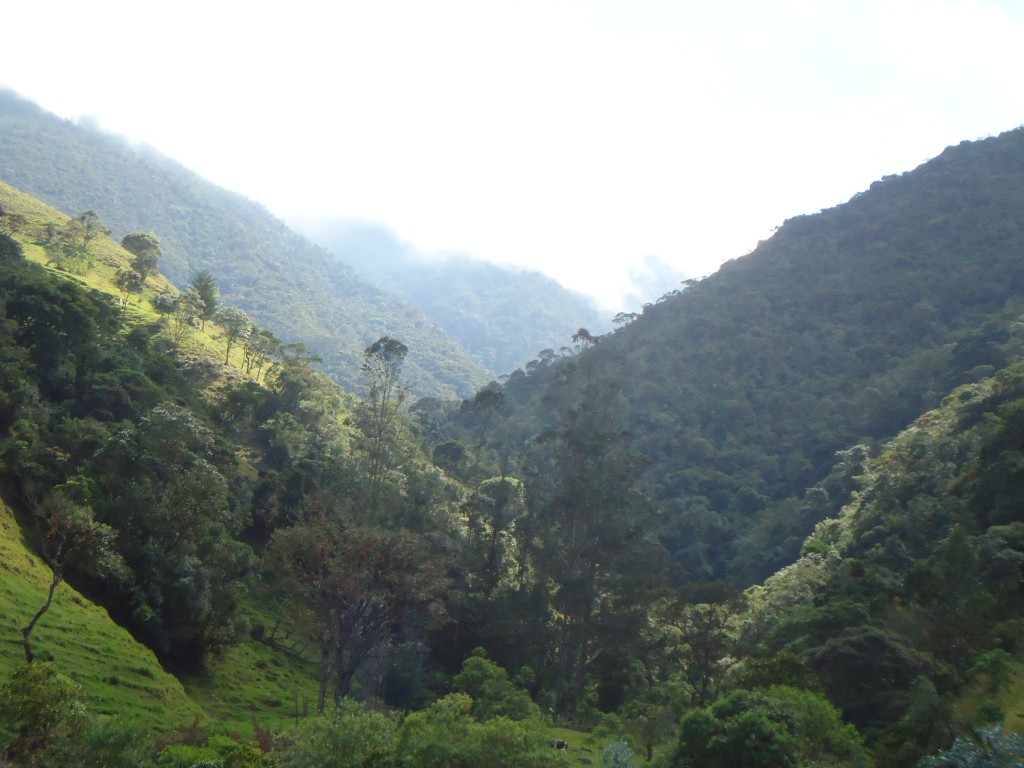 Foto de Chichira (Norte de Santander), Colombia