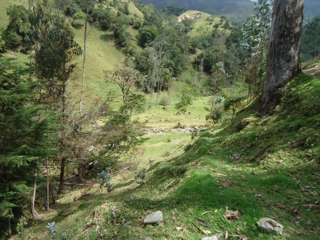 Foto de Chichira (Norte de Santander), Colombia