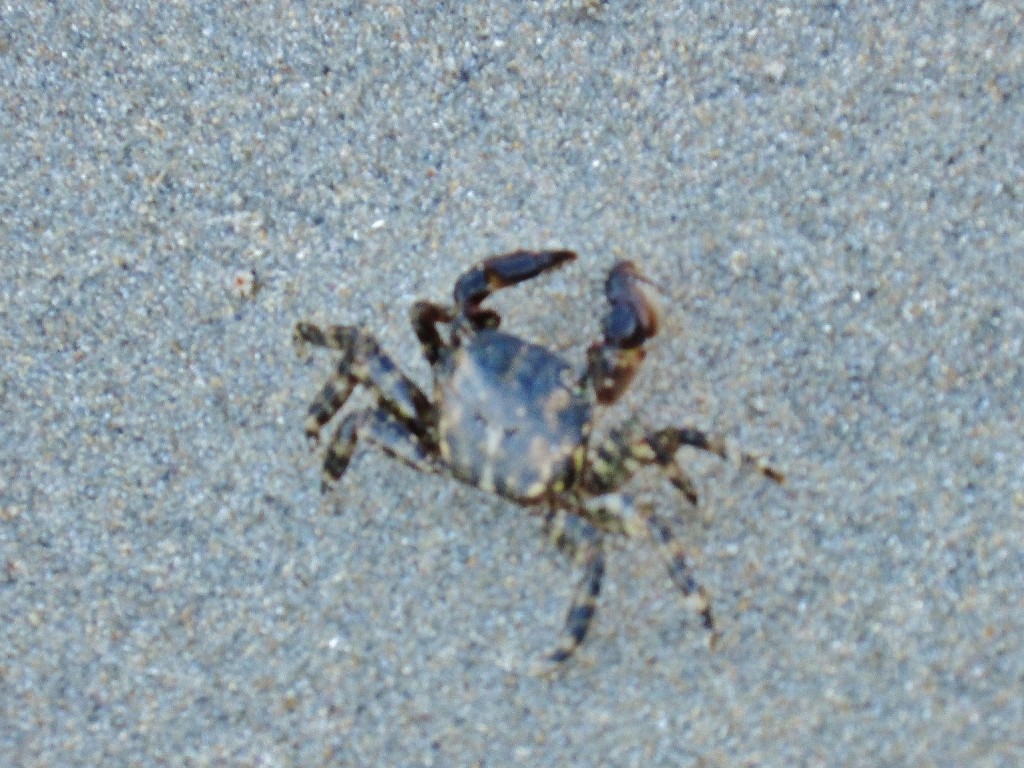 Foto: Playa de las Catedrales - Ribadeo (Lugo), España