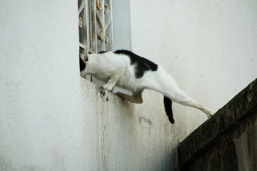 Foto: Acrobacia - Mondoñedo (Lugo), España