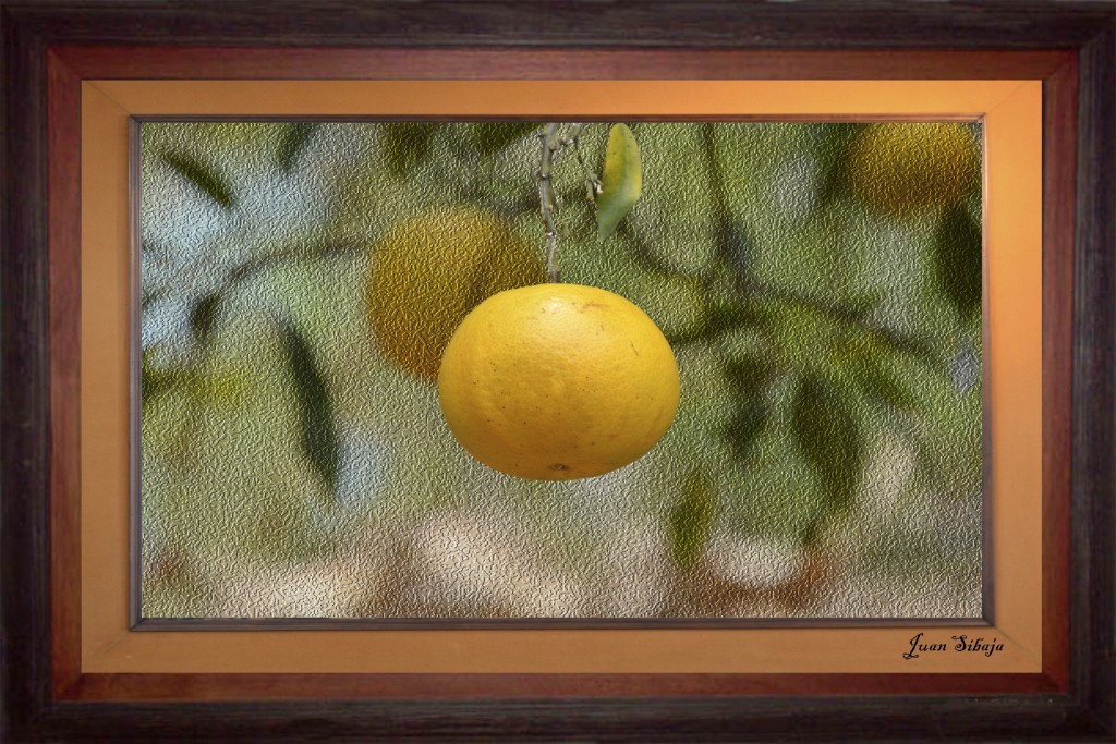 Foto de Alajuela, Costa Rica