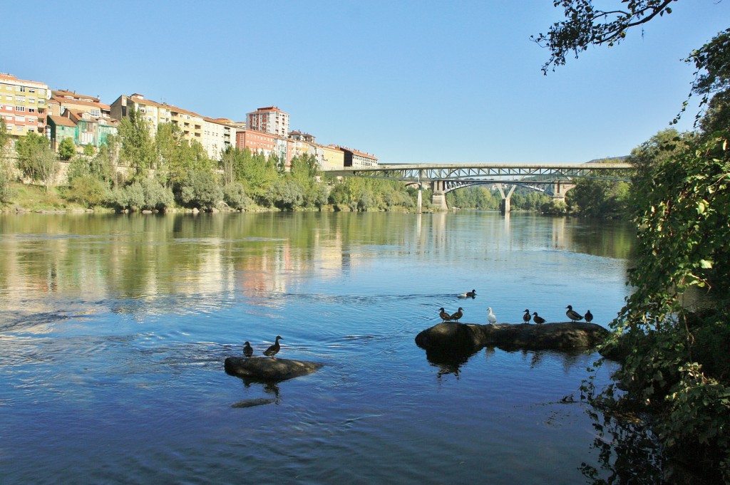 Foto: Rio Miño - Ourense (Galicia), España