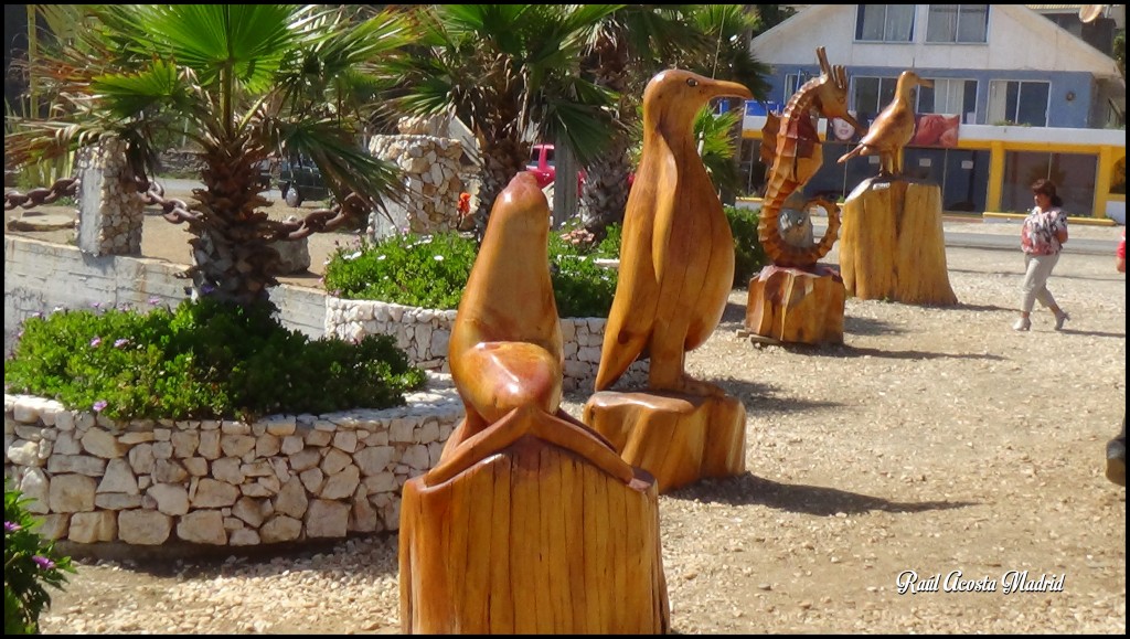 Foto de Duao (Maule), Chile