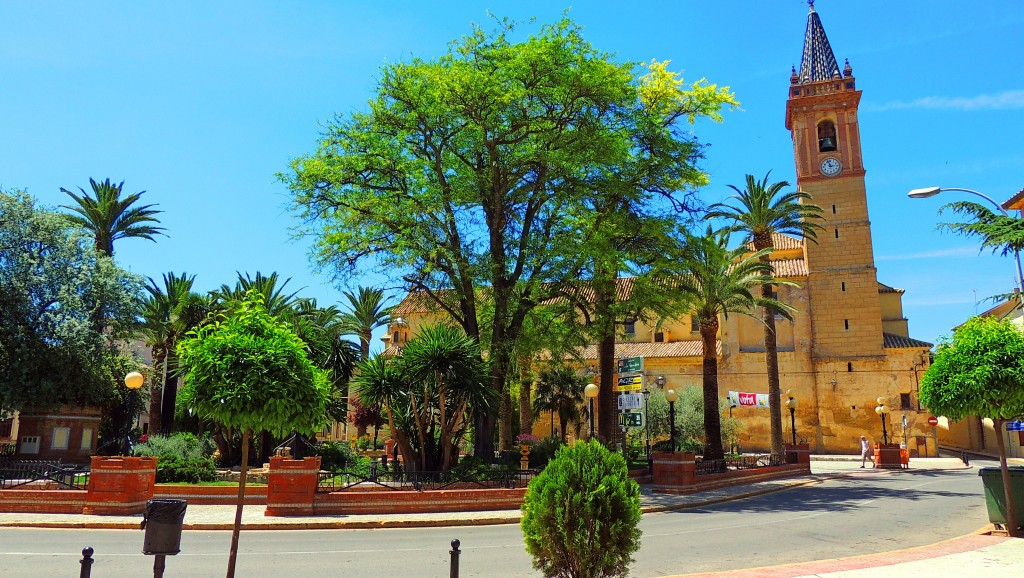 Foto de Campillos (Málaga), España