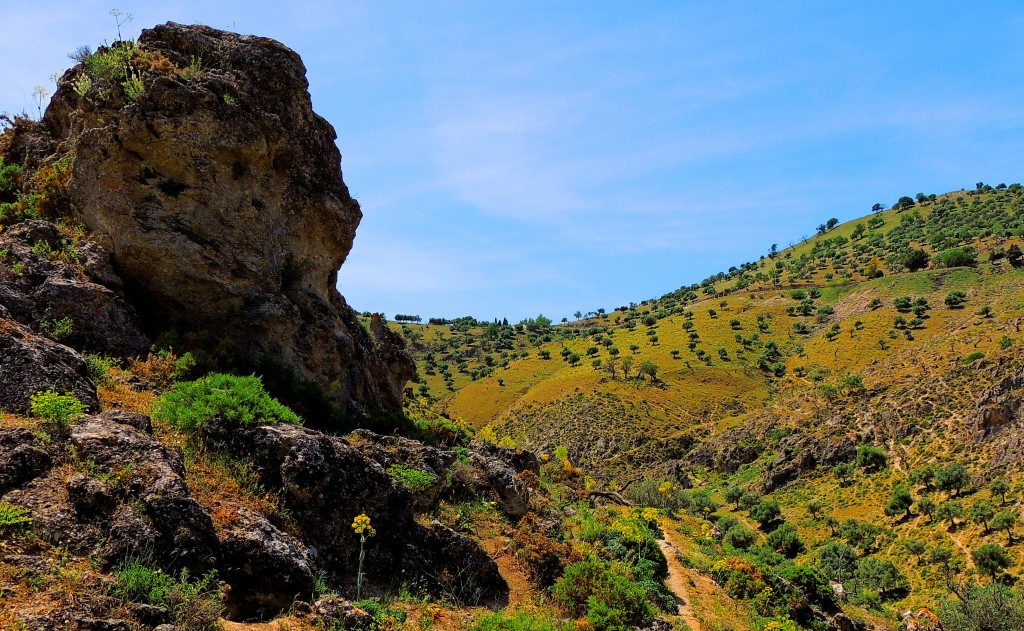 Foto de Cañete la Real (Málaga), España