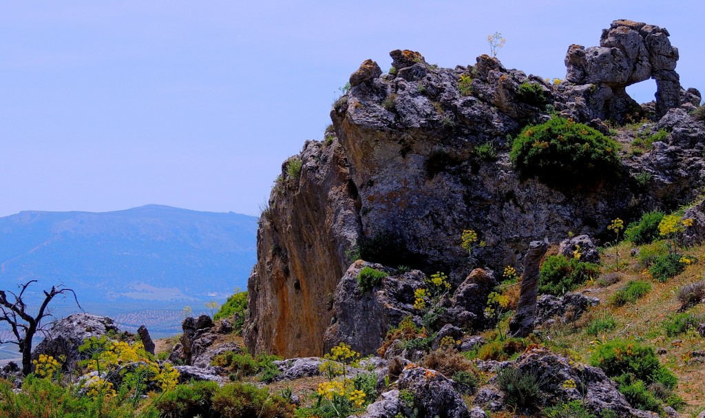 Foto de Cañete la Real (Málaga), España