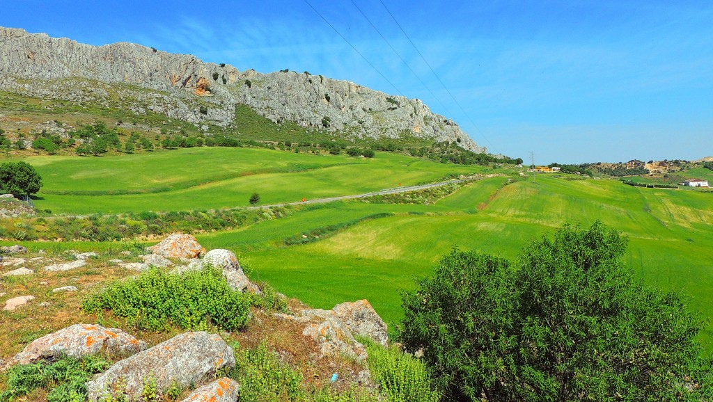 Foto de Cañete La Real (Málaga), España