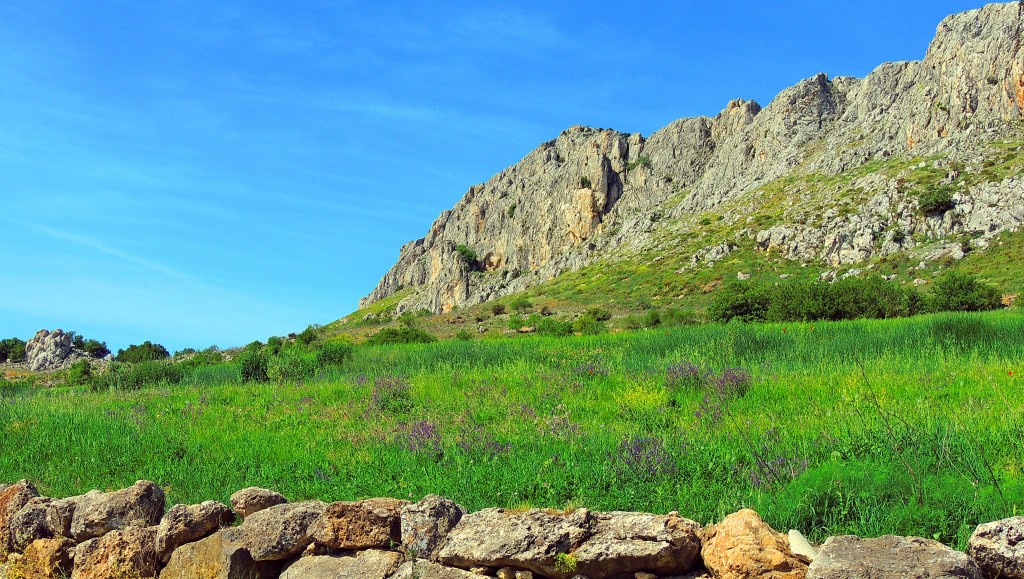 Foto de Cañete La Real (Málaga), España