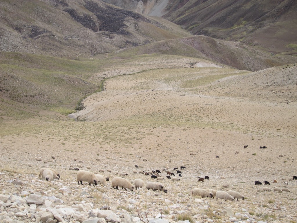 Foto: Camino a Valle Hermoso - Malargüe (Mendoza), Argentina