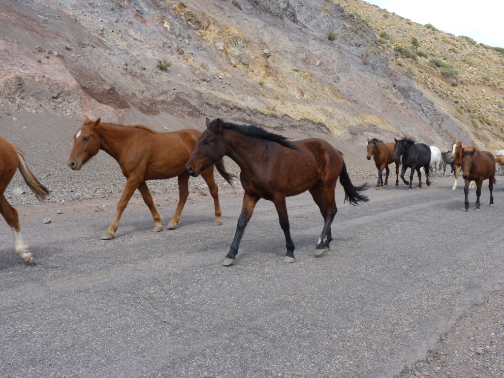 Foto: Los Molles - Malargüe (Mendoza), Argentina