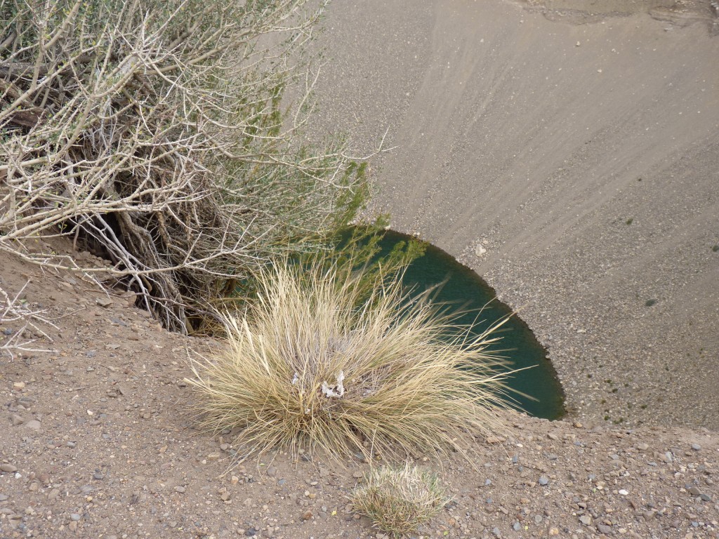 Foto: Pozo de las Amimas - Malargüe (Mendoza), Argentina