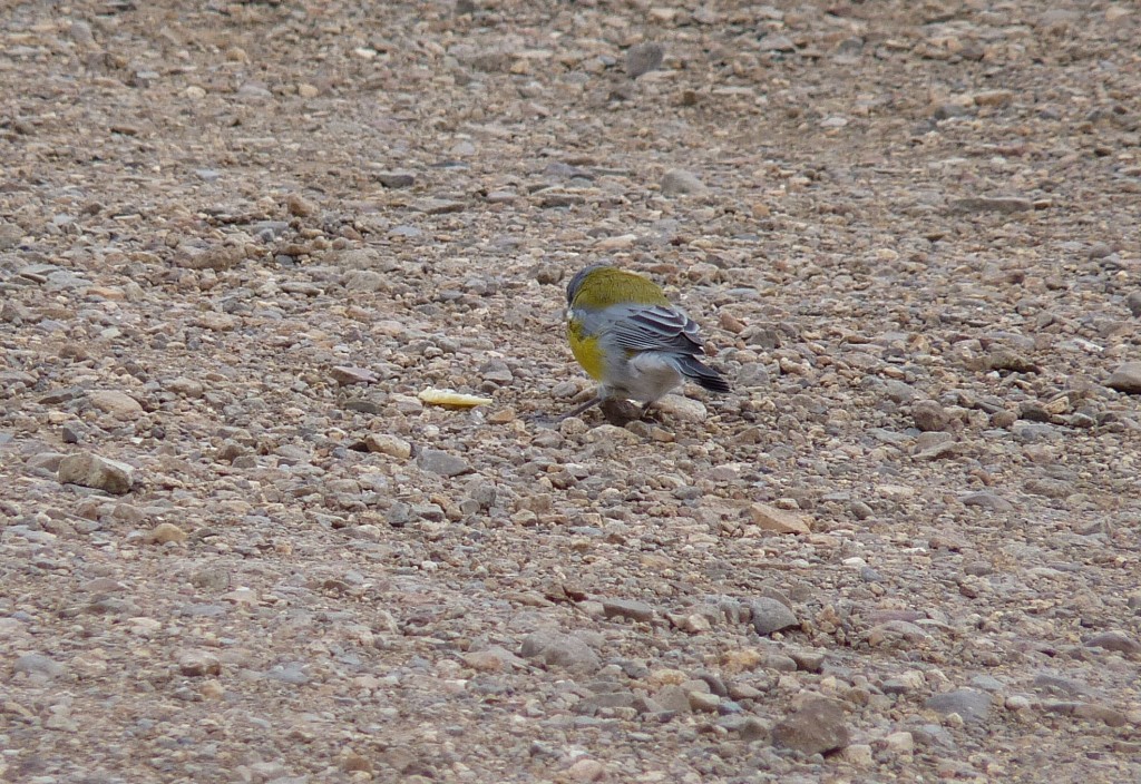 Foto: Pozo de las Amimas - Malargüe (Mendoza), Argentina