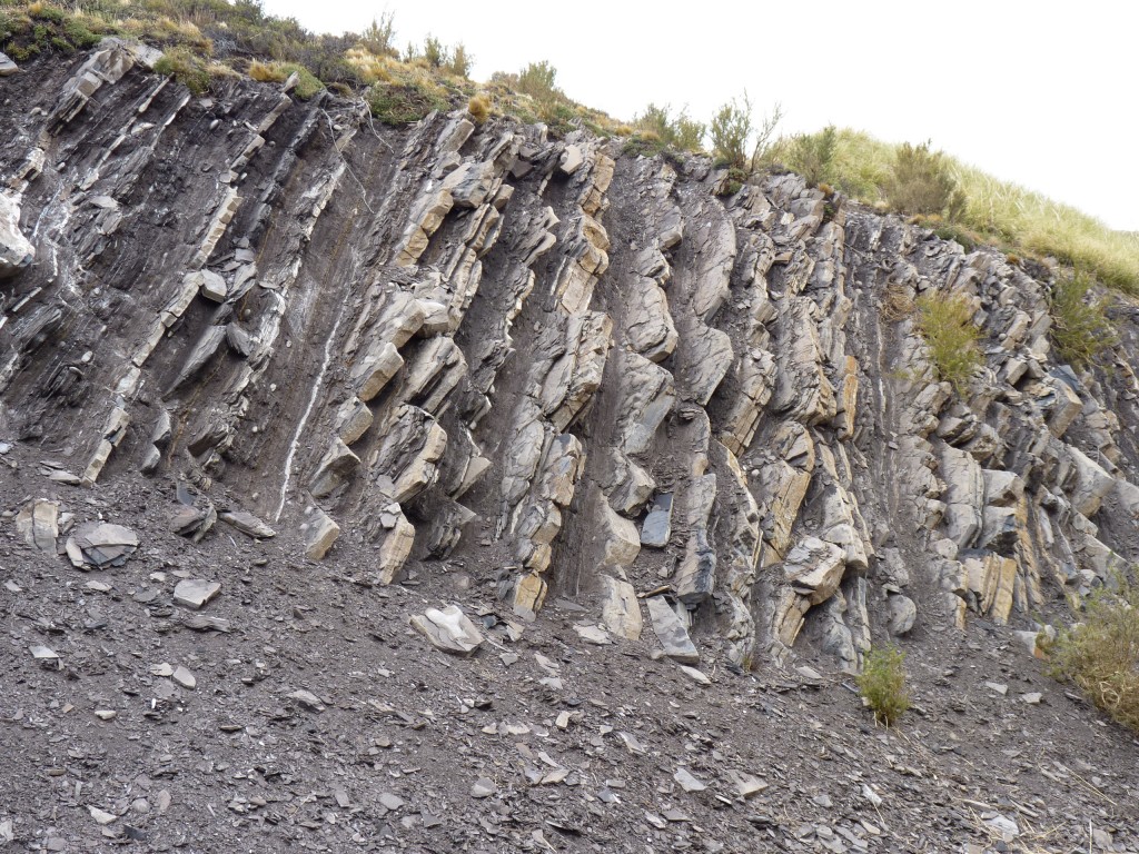 Foto: Los Molles - Malargüe (Mendoza), Argentina