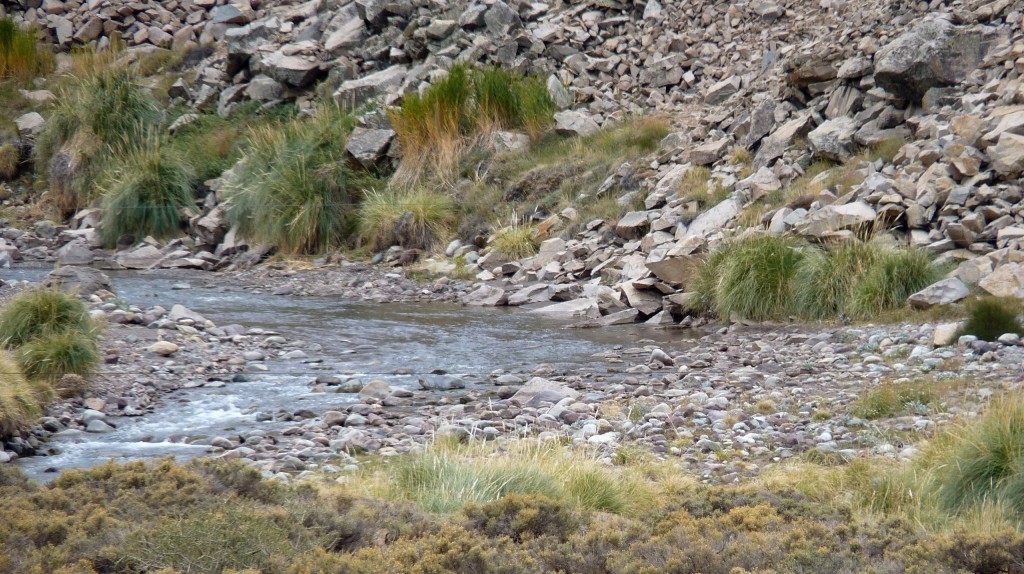 Foto: Camino a Las Leñas - Malargüe (Mendoza), Argentina