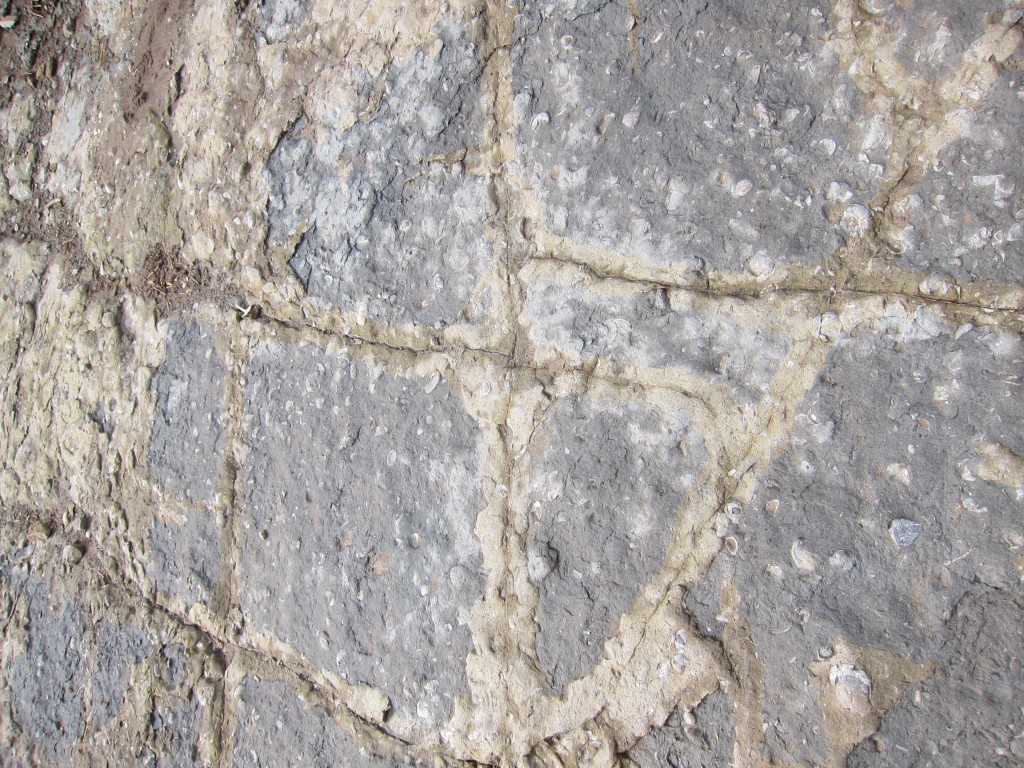 Foto: Bardas Blancas - Malargüe (Mendoza), Argentina