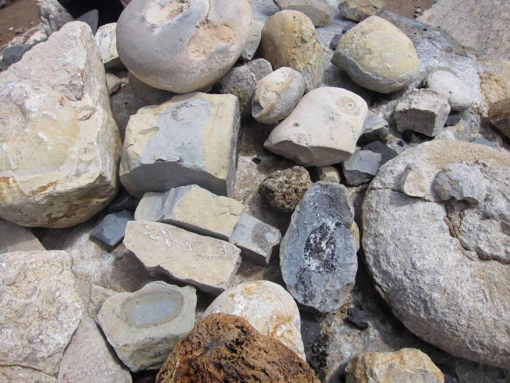 Foto: Bardas Blancas - Malargüe (Mendoza), Argentina