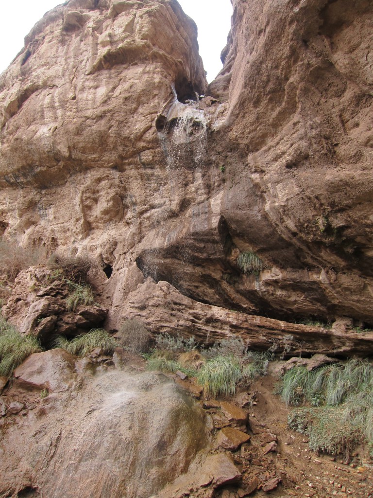 Foto: Bardas Blancas - Malargüe (Mendoza), Argentina