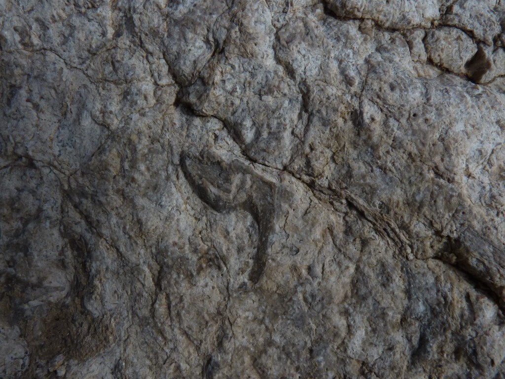 Foto: Bardas Blancas - Malargüe (Mendoza), Argentina