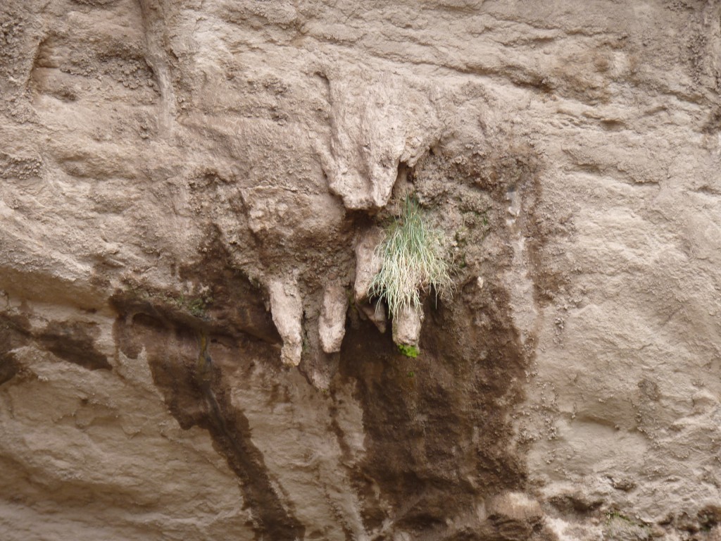 Foto: Bardas Blancas - Malargüe (Mendoza), Argentina