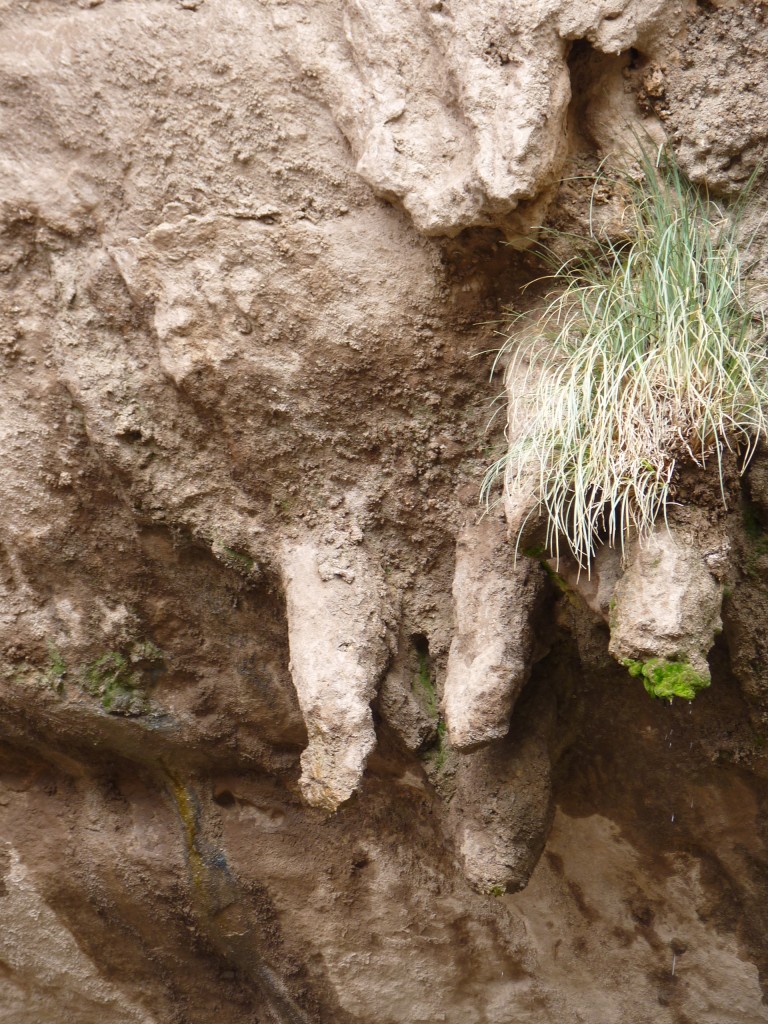 Foto: Bardas Blancas - Malargüe (Mendoza), Argentina