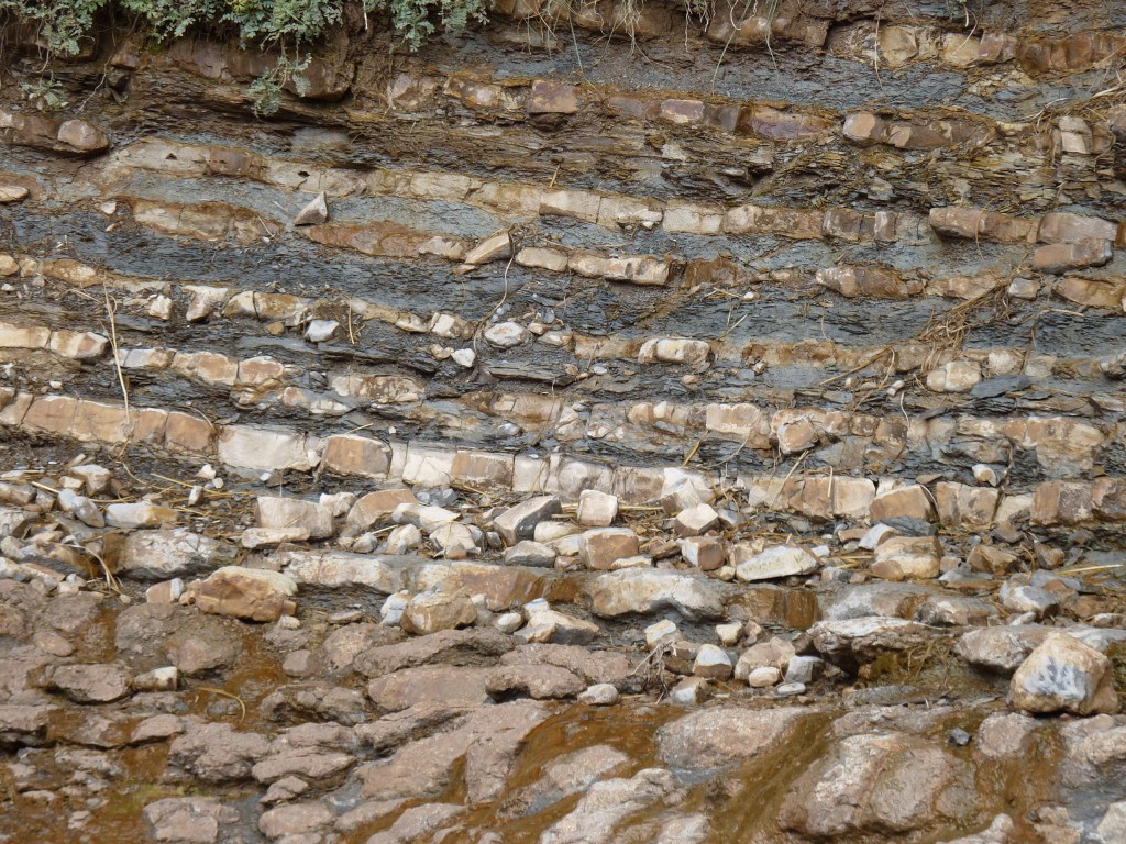 Foto: Bardas Blancas - Malargüe (Mendoza), Argentina