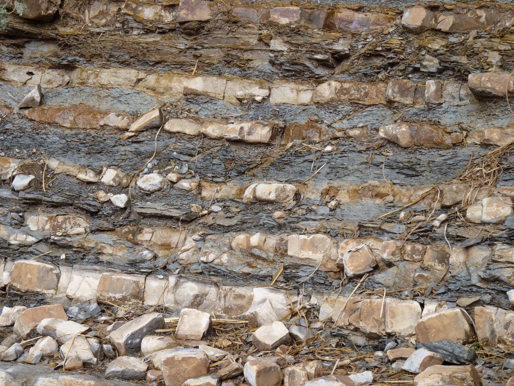 Foto: Bardas Blancas - Malargüe (Mendoza), Argentina