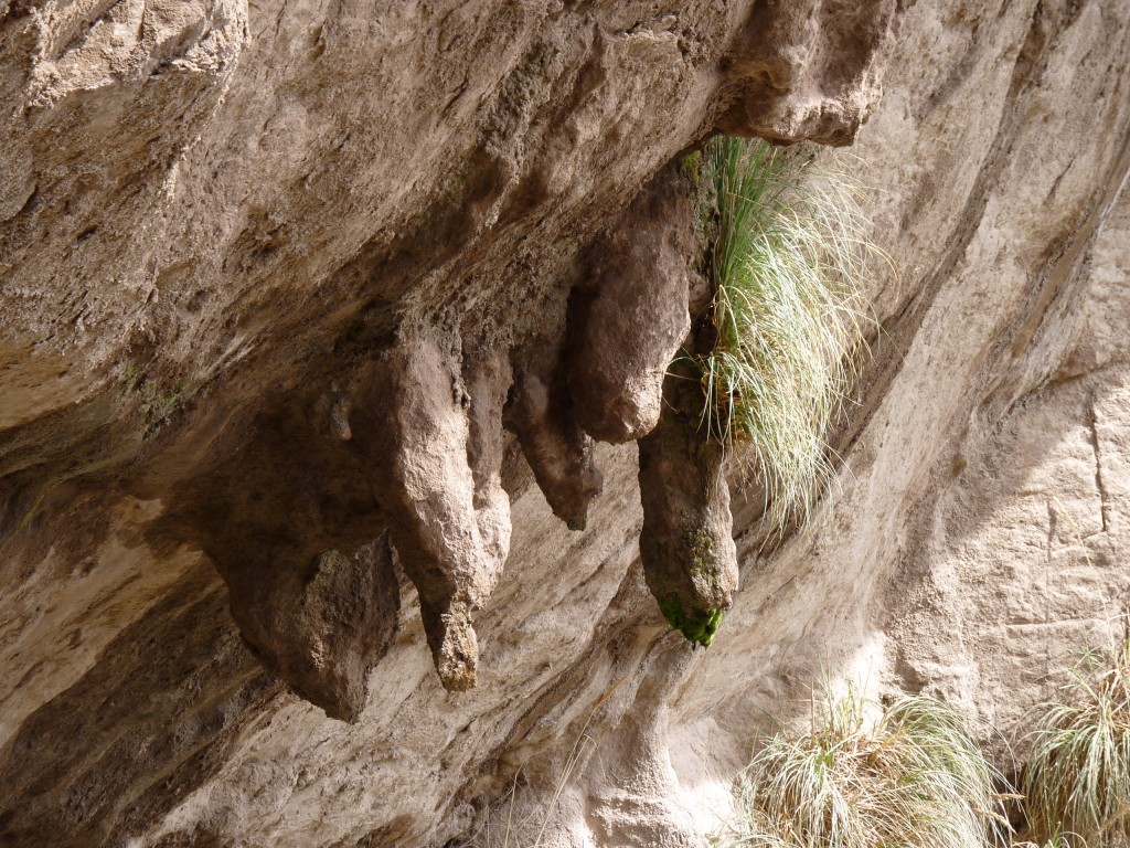 Foto: Bardas Blancas - Malargüe (Mendoza), Argentina