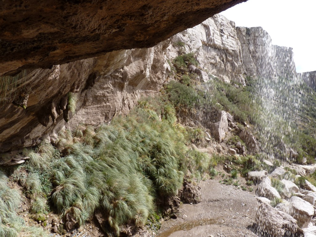 Foto: Bardas Blancas - Malargüe (Mendoza), Argentina