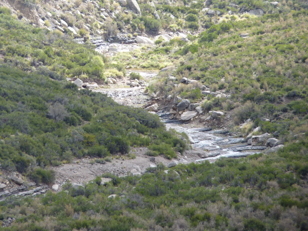 Foto: Bardas Blancas - Malargüe (Mendoza), Argentina
