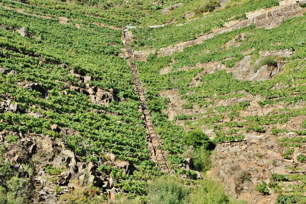 Foto: Cañón del rio Sil - Doade (Lugo), España