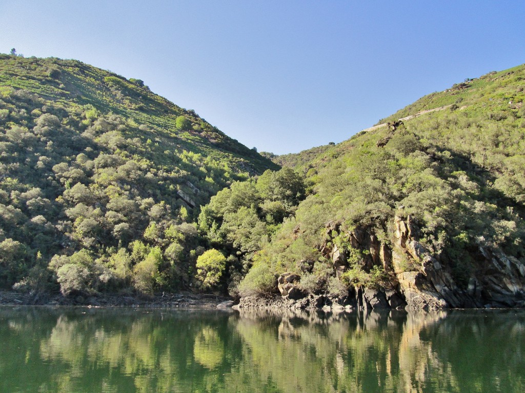 Foto: Cañón del rio Sil - Doade (Lugo), España