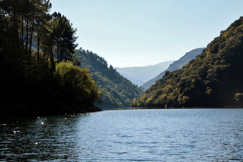 Foto: Cañón del rio Sil - Doade (Lugo), España
