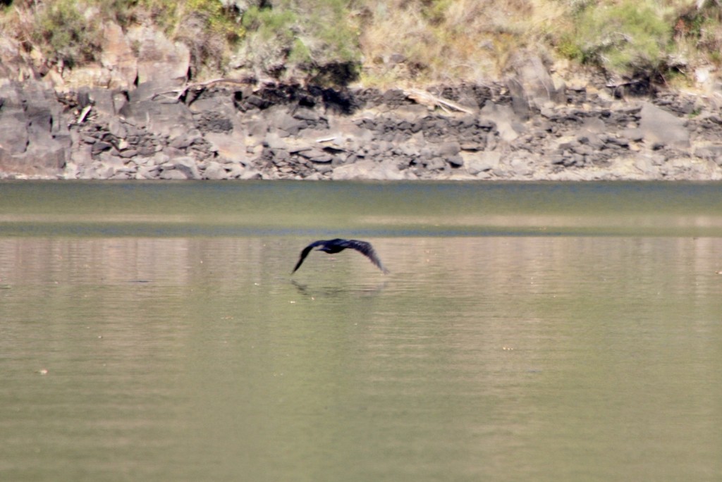 Foto: Cañón del rio Sil - Doade (Lugo), España