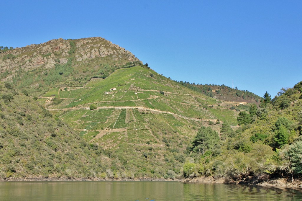 Foto: Cañón del rio Sil - Doade (Lugo), España