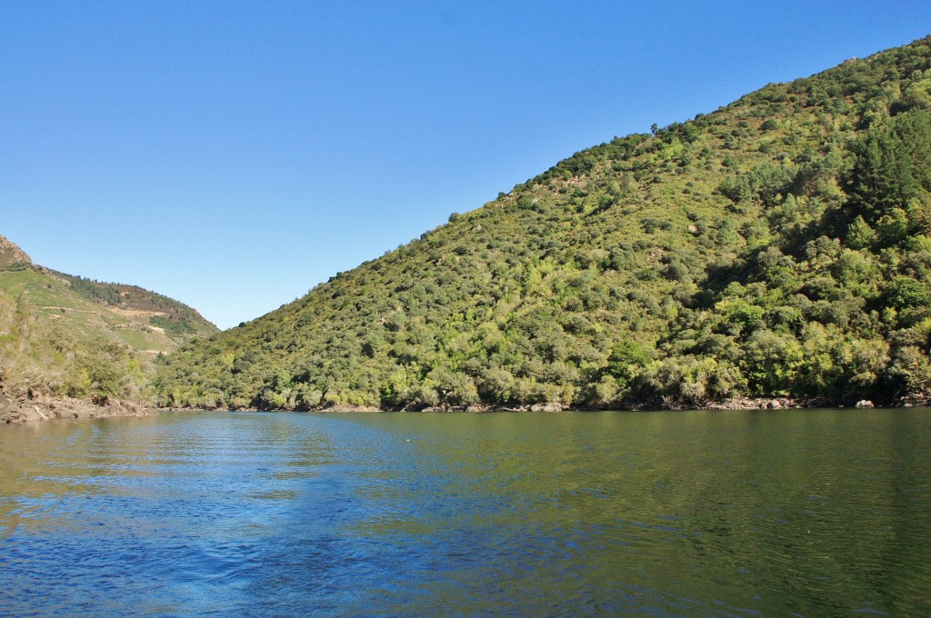 Foto: Cañón del rio Sil - Doade (Lugo), España
