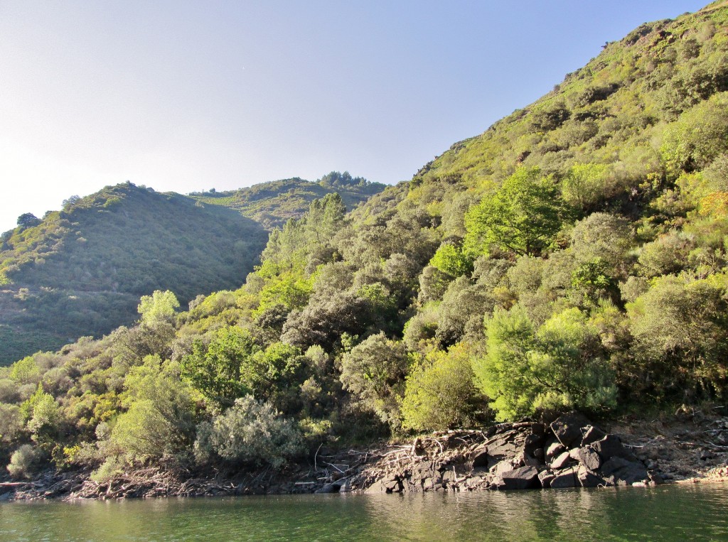 Foto: Cañón del rio Sil - Doade (Lugo), España
