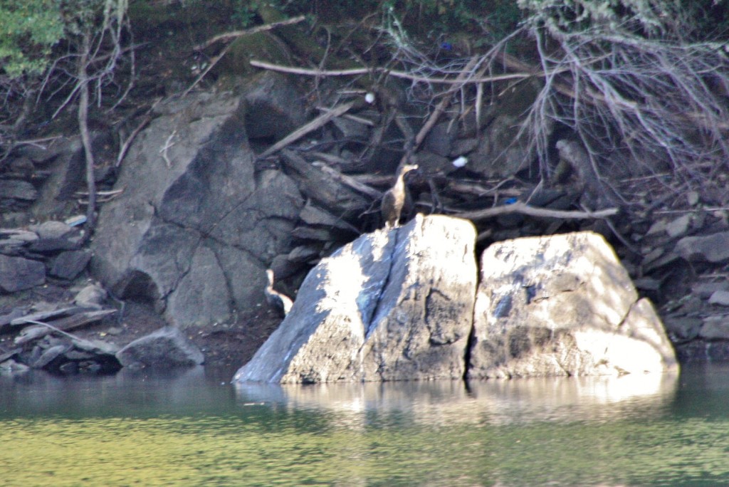 Foto: Cañón del rio Sil - Doade (Lugo), España