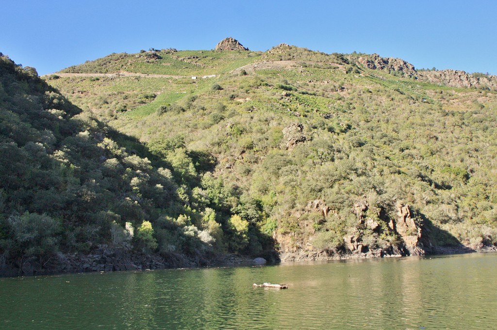 Foto: Cañón del rio Sil - Doade (Lugo), España